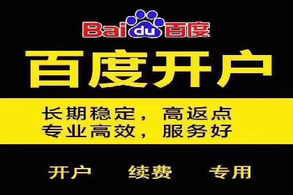 行业领先！专业SEM托管的成功实践案例